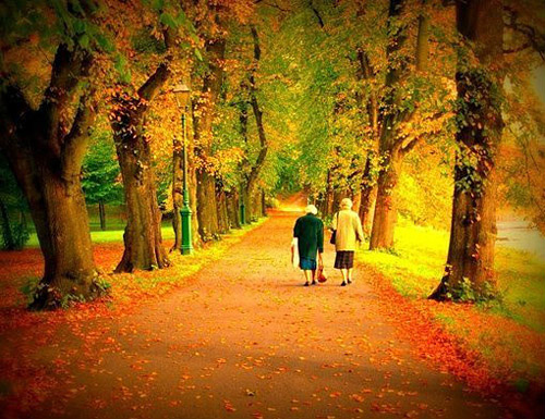 给女朋友晚上讲的睡前故事 睡前故事哄女朋友甜甜的