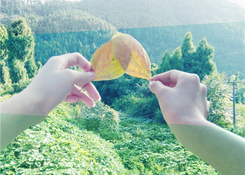 男朋友给女朋友撒娇语录