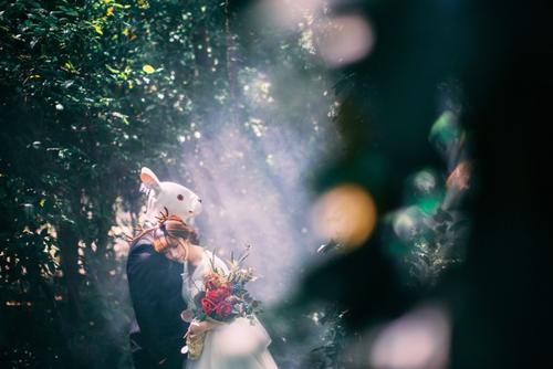 给女生讲的睡前小故事 给女生讲的睡前小故事套路