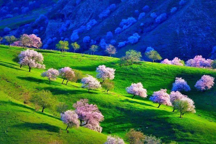 5月1适合去哪里旅游