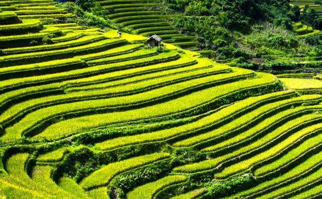 五月一去哪里旅游舒服
