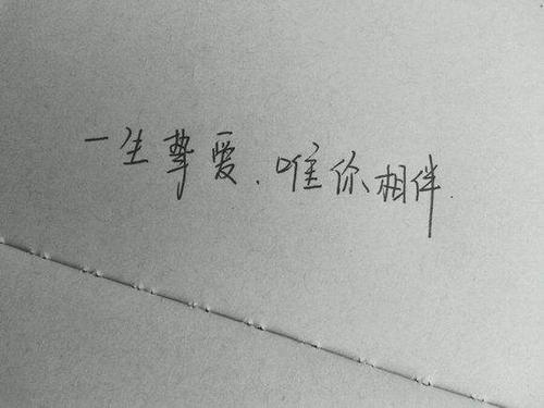 每天一句暖心小情话99条 每天一句温暖小情话