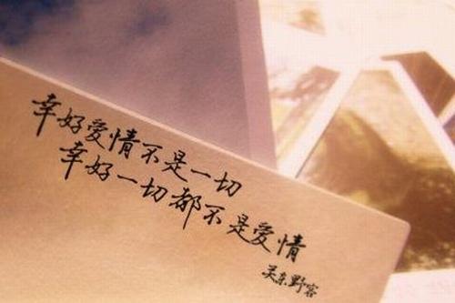 每天一句暖心小情话 每天一句温馨的话
