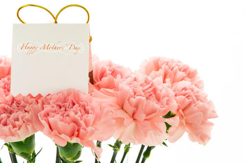 赞美母亲的唯美句子 最朴实的赞美母亲的话