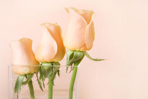 520送老婆礼物排行榜