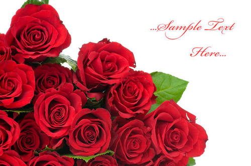 520给老婆送什么礼物好