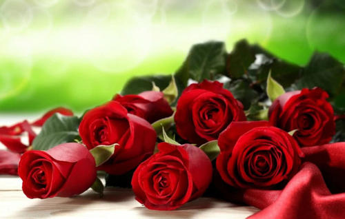 送对象玫瑰花配的句子