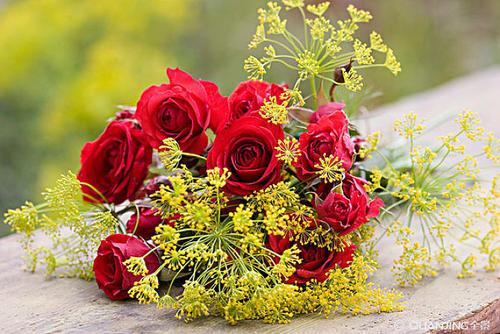 收到鲜花开心简短句子