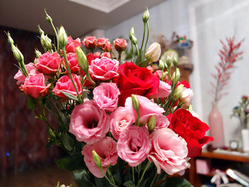 送花卡片怎么写幽默