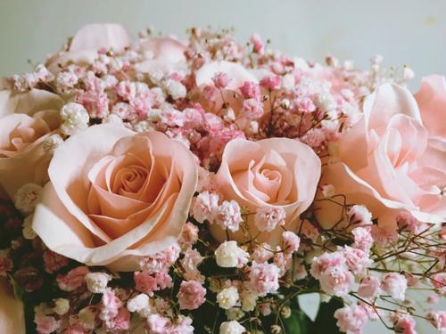 收到花的意外惊喜的句子