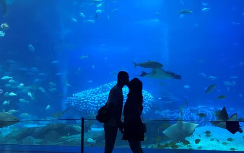 睡前故事讲给女朋友的