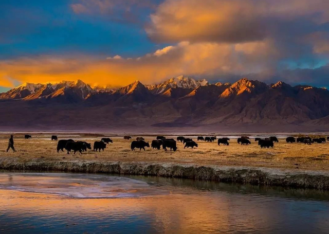 5月适合旅游的地方是哪里