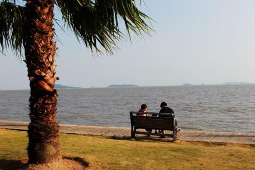 跟女孩子表白的文案