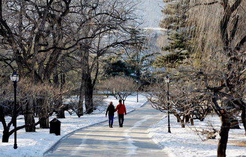 撩人晚安情话甜甜的睡觉