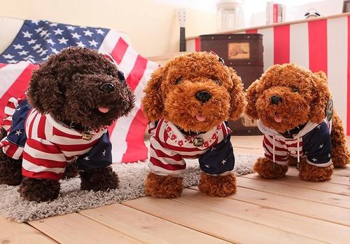 六一儿童节送女朋友什么好